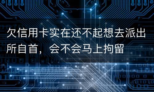 欠信用卡实在还不起想去派出所自首，会不会马上拘留