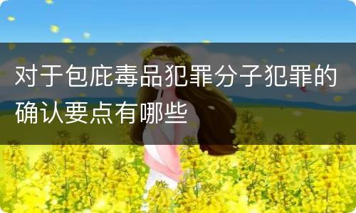 对于包庇毒品犯罪分子犯罪的确认要点有哪些