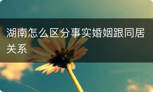 湖南怎么区分事实婚姻跟同居关系