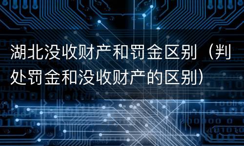 湖北没收财产和罚金区别（判处罚金和没收财产的区别）