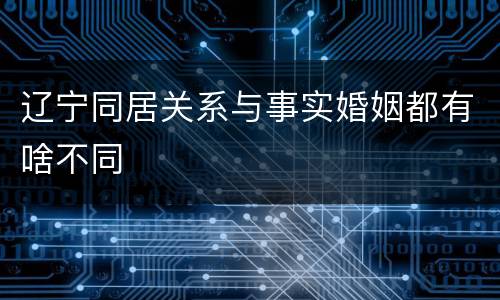 辽宁同居关系与事实婚姻都有啥不同