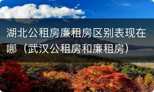 湖北公租房廉租房区别表现在哪（武汉公租房和廉租房）