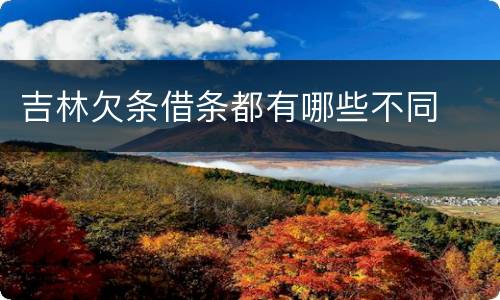 吉林欠条借条都有哪些不同