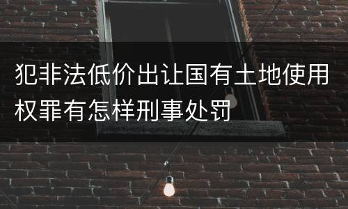 犯非法低价出让国有土地使用权罪有怎样刑事处罚