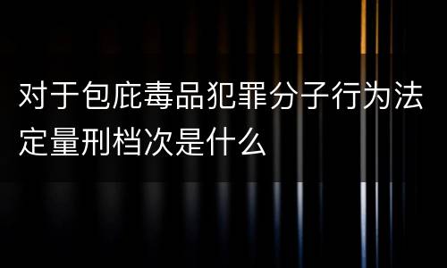 对于包庇毒品犯罪分子行为法定量刑档次是什么