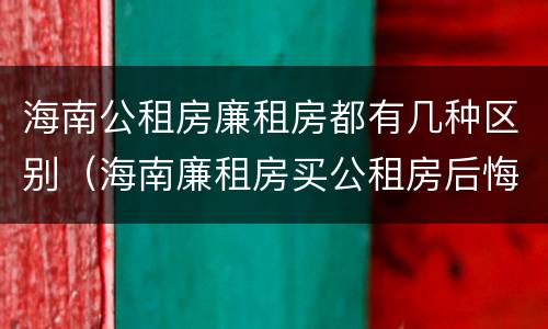 海南公租房廉租房都有几种区别（海南廉租房买公租房后悔了）