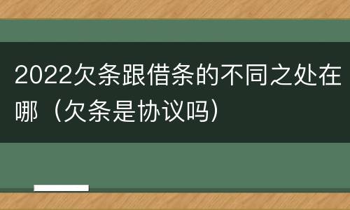 2022欠条跟借条的不同之处在哪（欠条是协议吗）