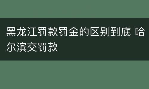 黑龙江罚款罚金的区别到底 哈尔滨交罚款