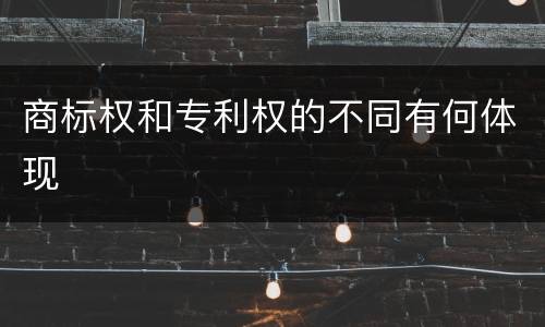 商标权和专利权的不同有何体现