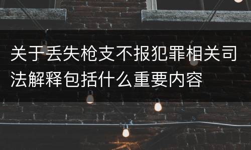关于丢失枪支不报犯罪相关司法解释包括什么重要内容
