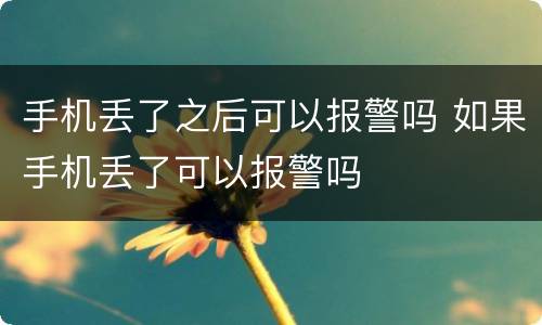 手机丢了之后可以报警吗 如果手机丢了可以报警吗