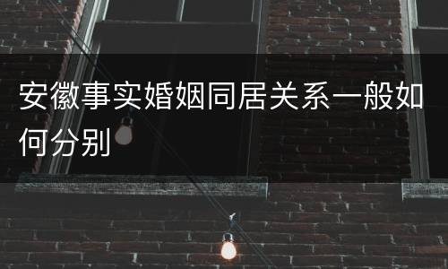 安徽事实婚姻同居关系一般如何分别