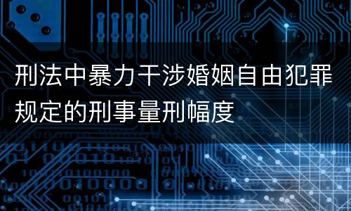 刑法中暴力干涉婚姻自由犯罪规定的刑事量刑幅度