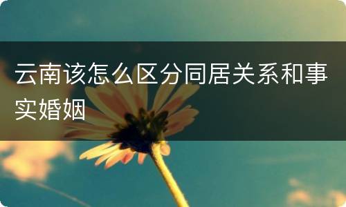 云南该怎么区分同居关系和事实婚姻