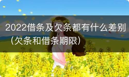 2022借条及欠条都有什么差别（欠条和借条期限）