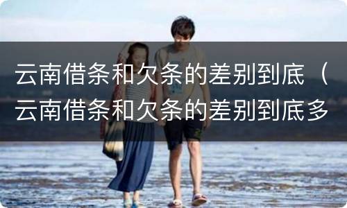 云南借条和欠条的差别到底（云南借条和欠条的差别到底多大）