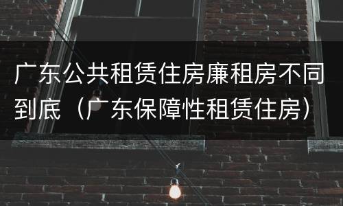 广东公共租赁住房廉租房不同到底（广东保障性租赁住房）