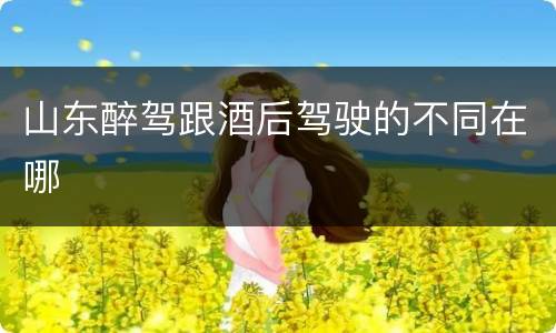 山东醉驾跟酒后驾驶的不同在哪