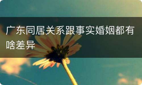 广东同居关系跟事实婚姻都有啥差异
