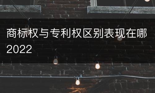商标权与专利权区别表现在哪2022