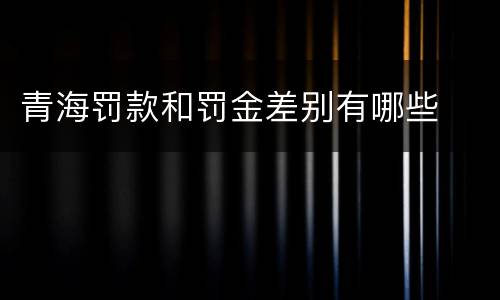 青海罚款和罚金差别有哪些