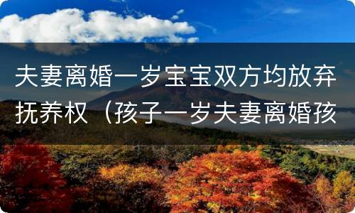 夫妻离婚一岁宝宝双方均放弃抚养权（孩子一岁夫妻离婚孩子归谁抚养）