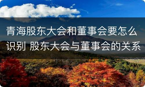 青海股东大会和董事会要怎么识别 股东大会与董事会的关系是什么