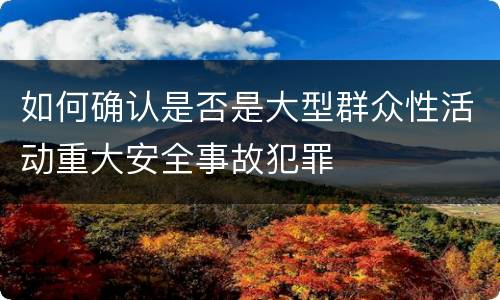 如何确认是否是大型群众性活动重大安全事故犯罪