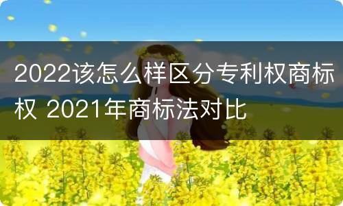 2022该怎么样区分专利权商标权 2021年商标法对比