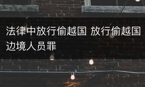 法律中放行偷越国 放行偷越国边境人员罪