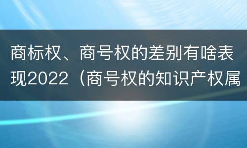 商标权、商号权的差别有啥表现2022（商号权的知识产权属性）