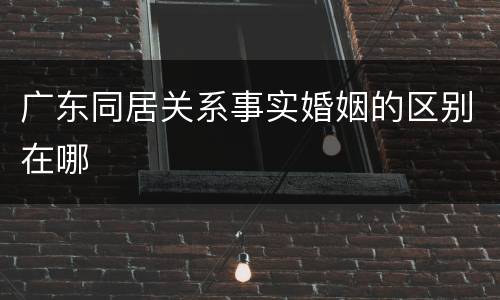 广东同居关系事实婚姻的区别在哪