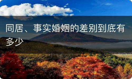同居、事实婚姻的差别到底有多少