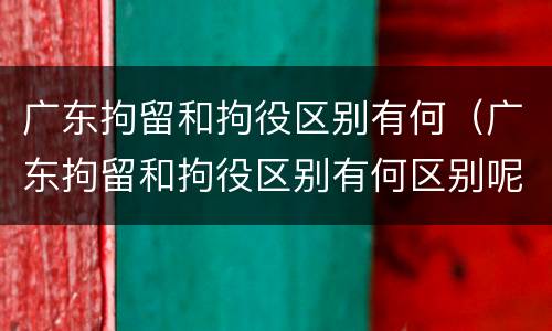 广东拘留和拘役区别有何（广东拘留和拘役区别有何区别呢）