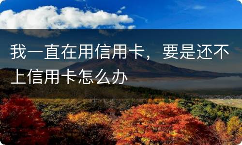我一直在用信用卡，要是还不上信用卡怎么办