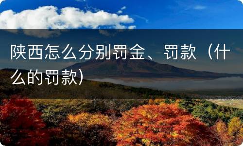 陕西怎么分别罚金、罚款（什么的罚款）