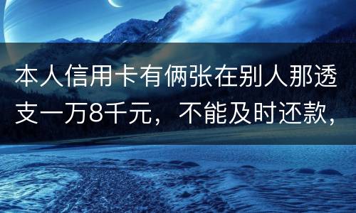 本人信用卡有俩张在别人那透支一万8千元，不能及时还款，能起诉吗