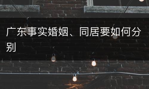 广东事实婚姻、同居要如何分别