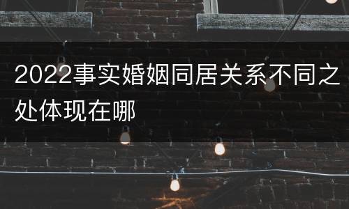 2022事实婚姻同居关系不同之处体现在哪