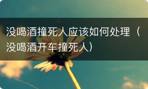 没喝酒撞死人应该如何处理（没喝酒开车撞死人）