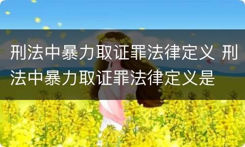 刑法中暴力取证罪法律定义 刑法中暴力取证罪法律定义是