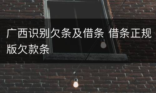 广西识别欠条及借条 借条正规版欠款条
