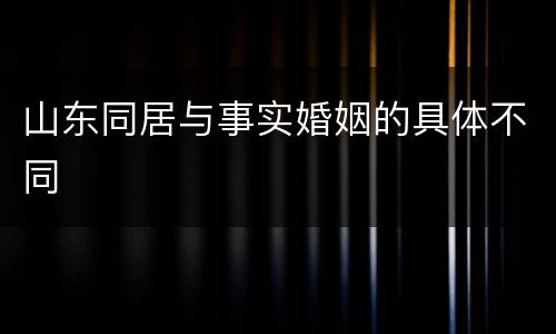 山东同居与事实婚姻的具体不同