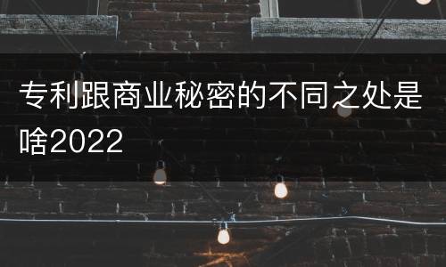 专利跟商业秘密的不同之处是啥2022