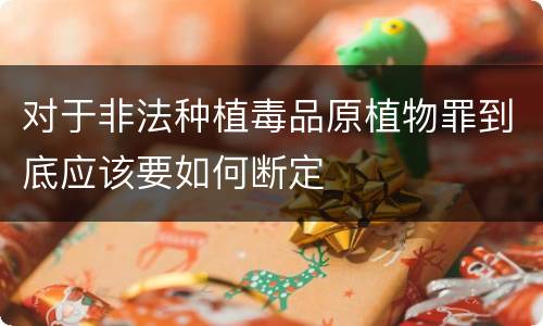 对于非法种植毒品原植物罪到底应该要如何断定