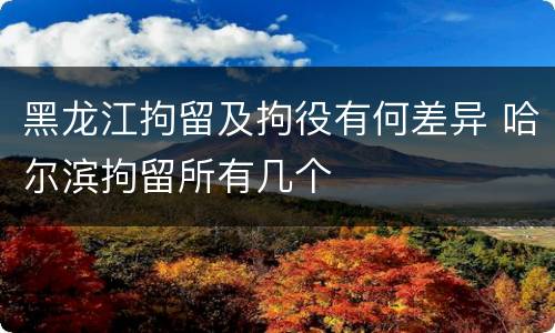 黑龙江拘留及拘役有何差异 哈尔滨拘留所有几个