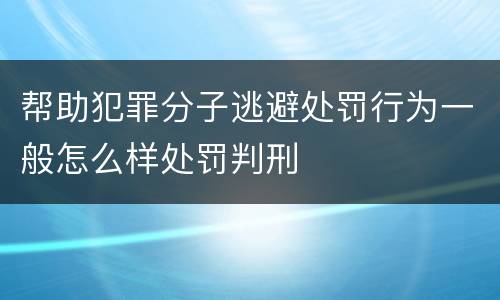 帮助犯罪分子逃避处罚行为一般怎么样处罚判刑