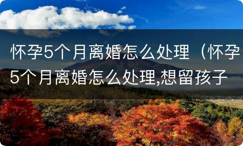 怀孕5个月离婚怎么处理（怀孕5个月离婚怎么处理,想留孩子）