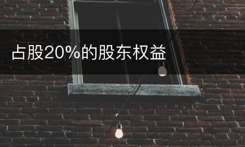 占股20%的股东权益