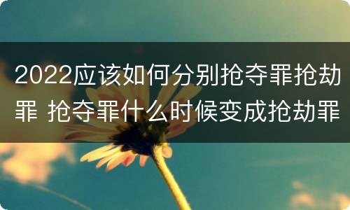 2022应该如何分别抢夺罪抢劫罪 抢夺罪什么时候变成抢劫罪